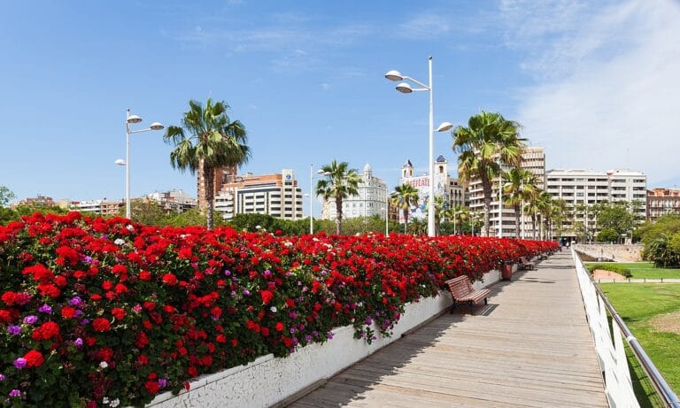 planes gratis en valencia