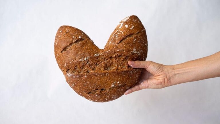 restaurantes sin gluten en valencia