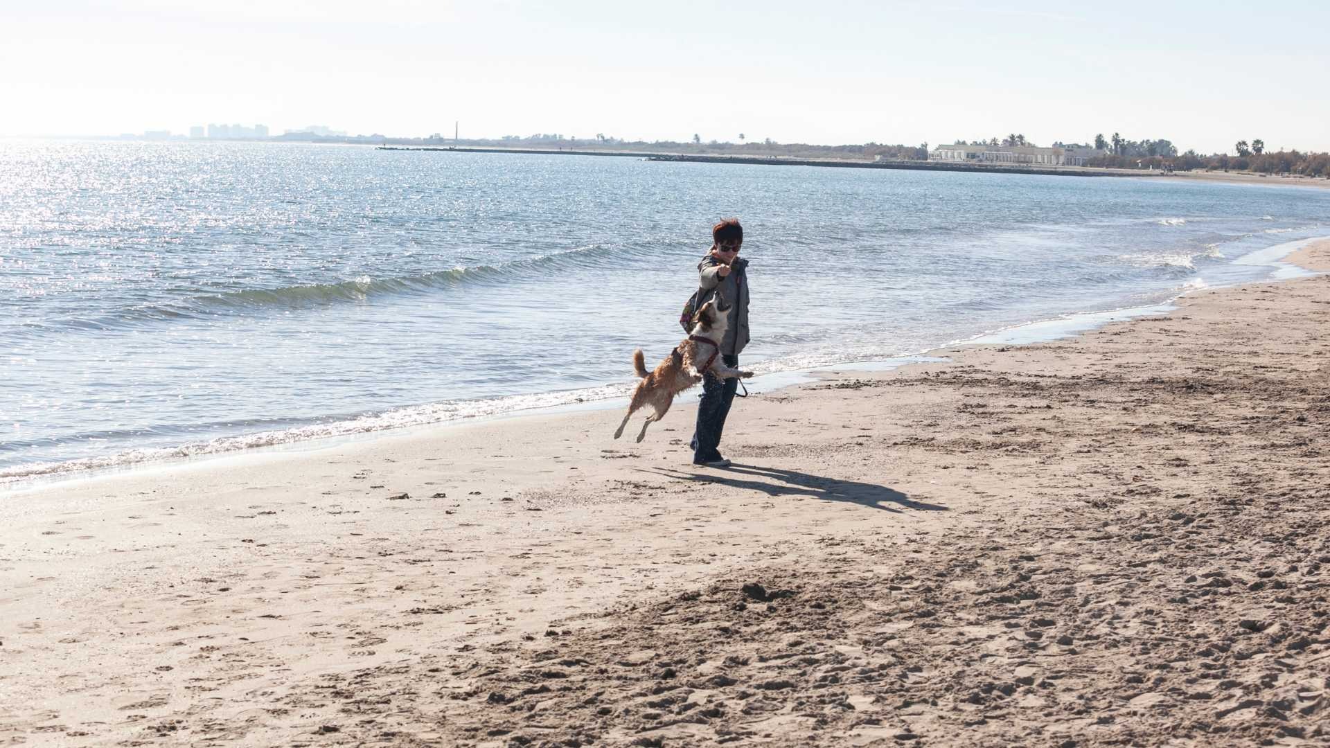 Las mejores playas para perros de Valencia