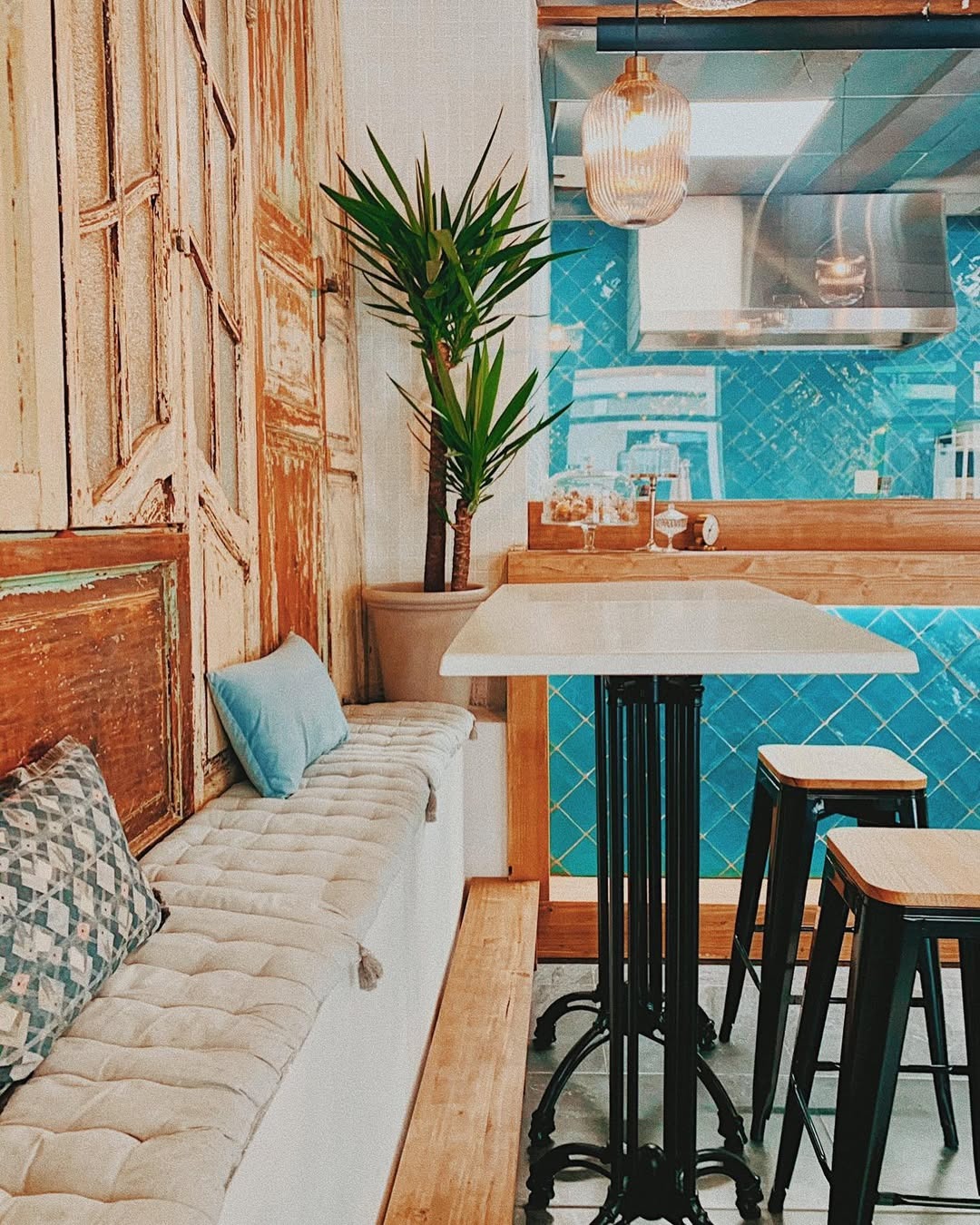 Sitios para ir con perros en 2026