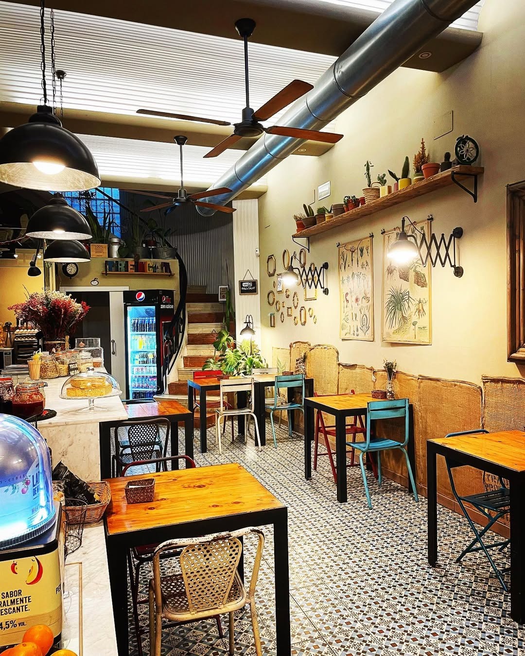  sitios para ir con tu perro en Valencia 