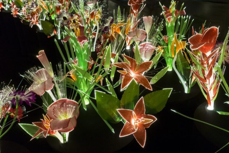 Exposición «Joana Vasconcelos. Jardim do Éden 2007-2024» en Valencia