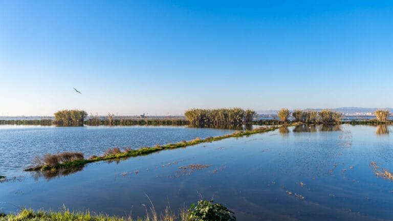 Atardecer sobre el lago de la Albufera de Valencia